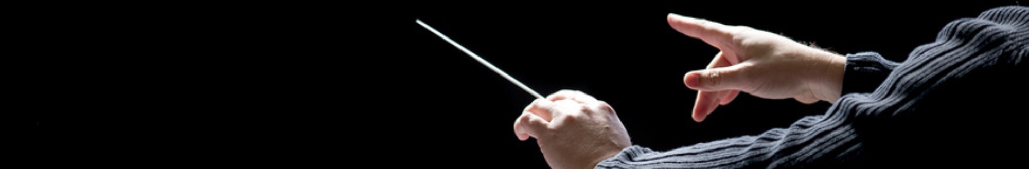 Le Directeur Musical